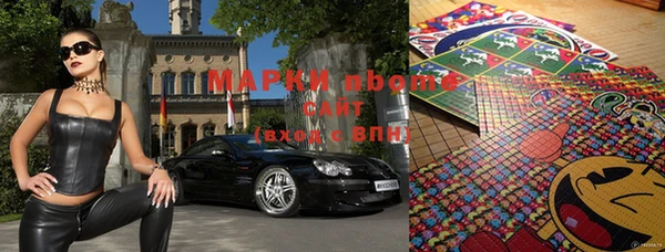 крисы Алзамай