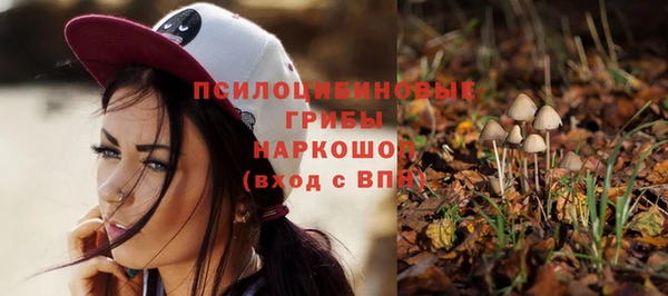 крисы Алзамай