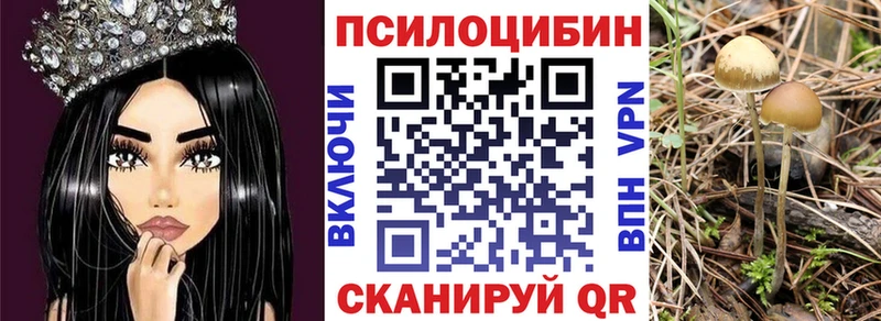 Псилоцибиновые грибы Magic Shrooms  darknet телеграм  Пласт 